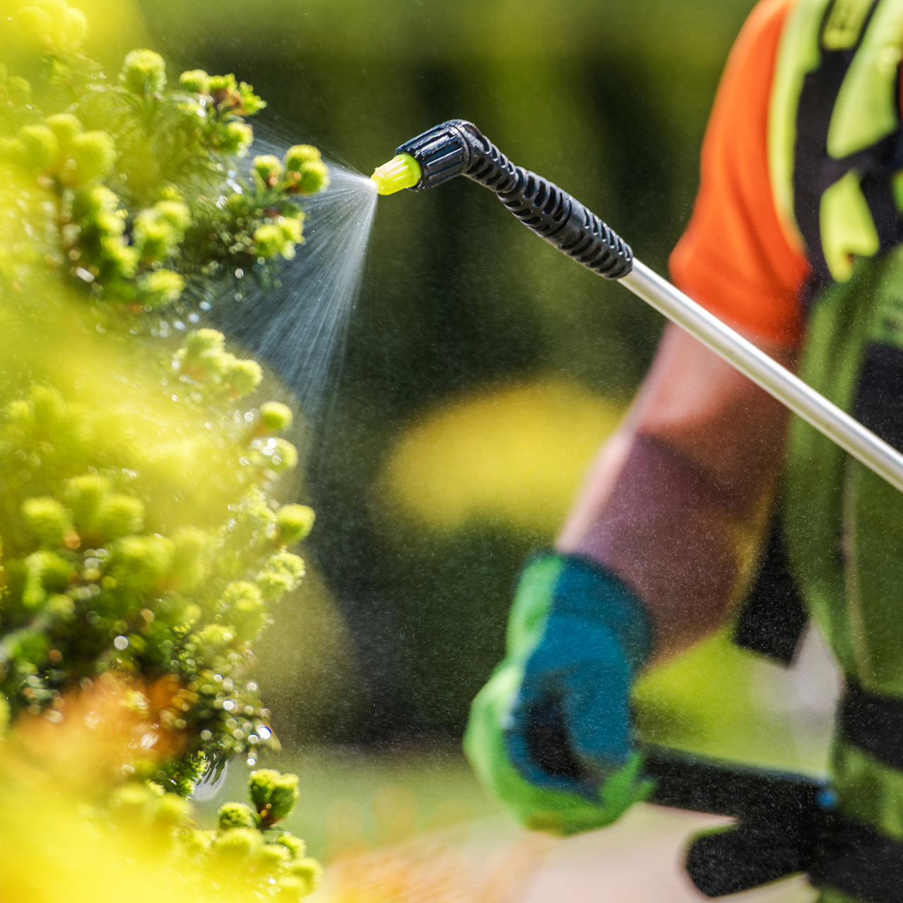 Landscaping & Habitat Services - Midland Landscaping