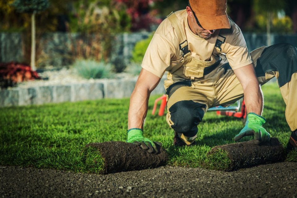 Turf Laying Services